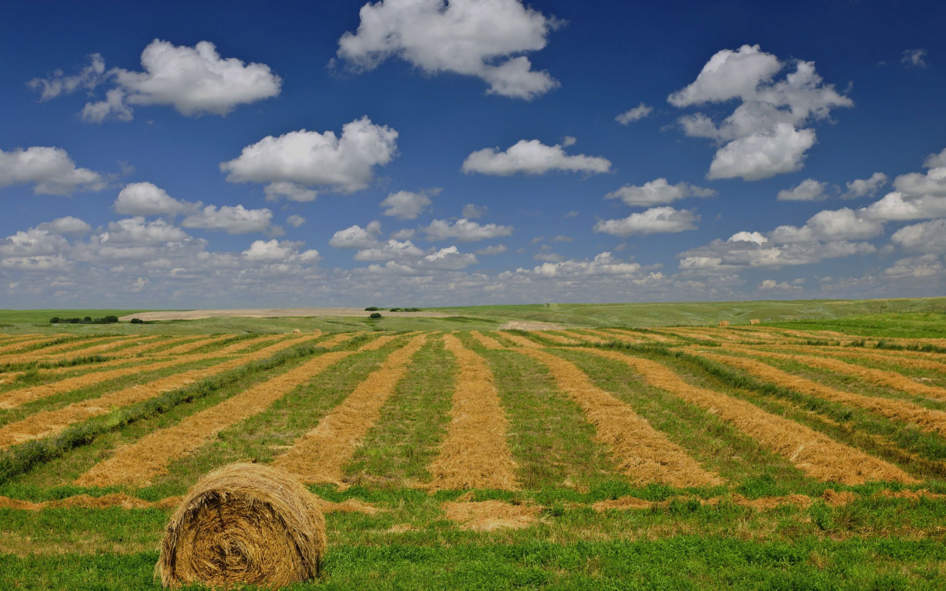 Canadian Prairie Wheat Farms - HD Wallpaper 