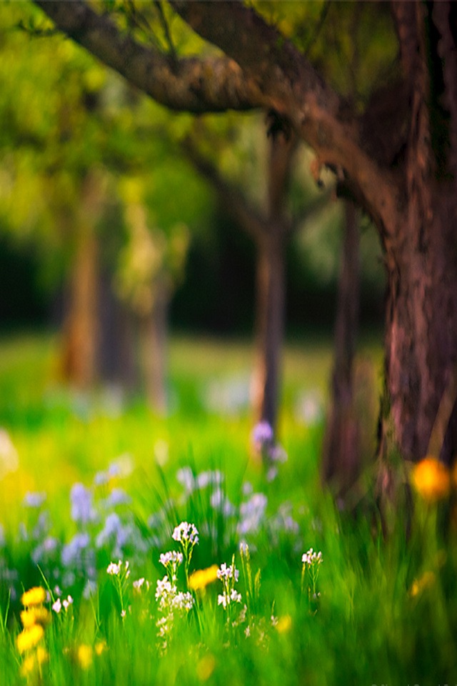Beautiful Scene - Scenery Full Hd Images Download - 640x960 Wallpaper - Beautiful Scene - Scenery Full Hd Images Download - 640x960 Wallpaper -