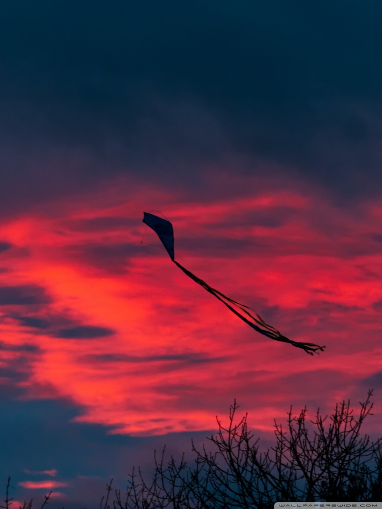 Kite Wallpaper - HD Wallpaper 
