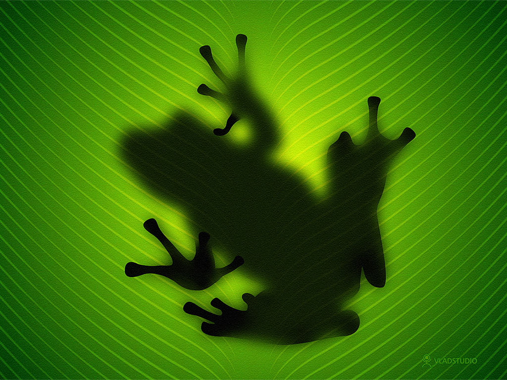 Cute Frog Backgrounds - HD Wallpaper 