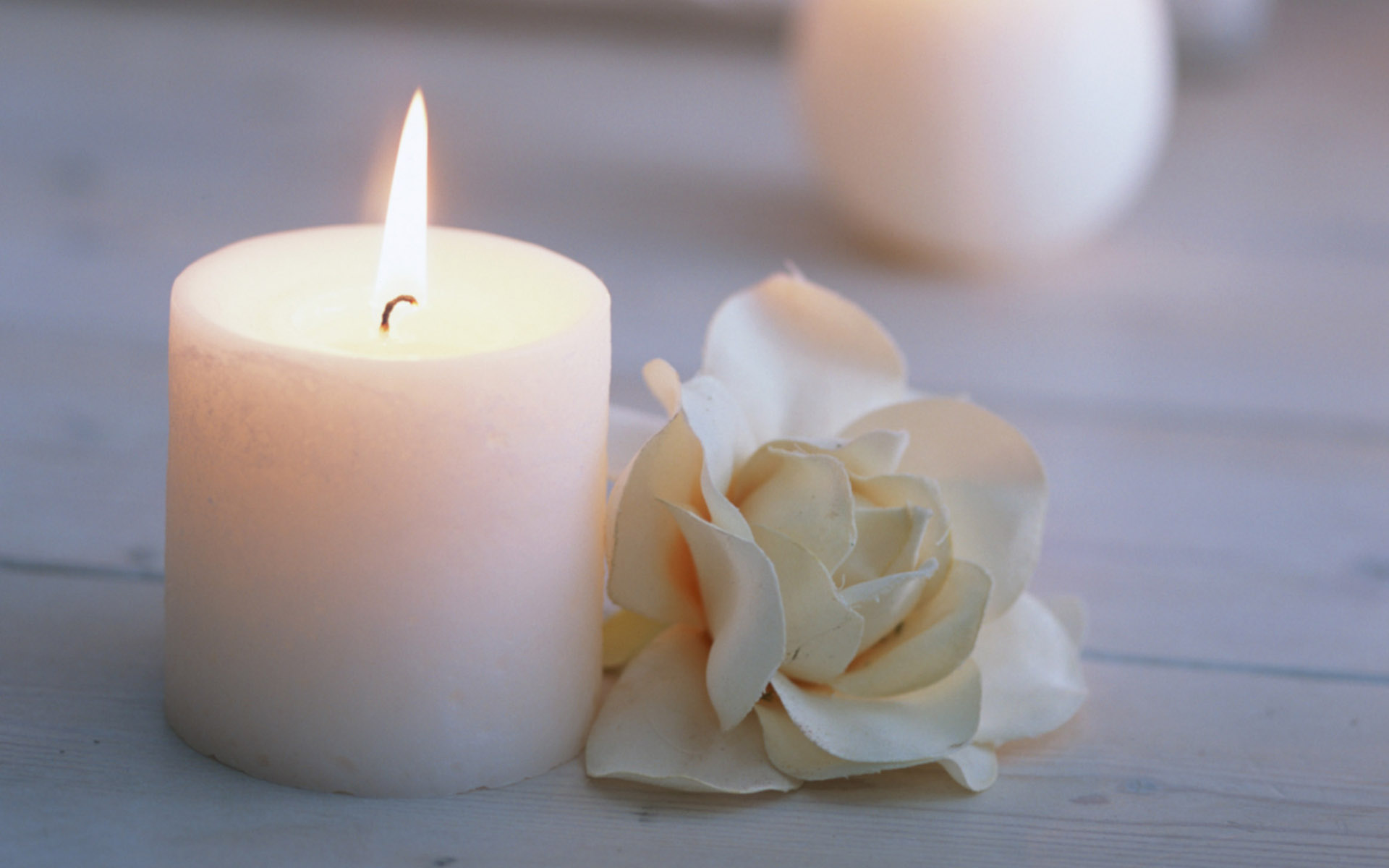 Candle Wallpaper - White Candle And Flower - 1920x1200 Wallpaper