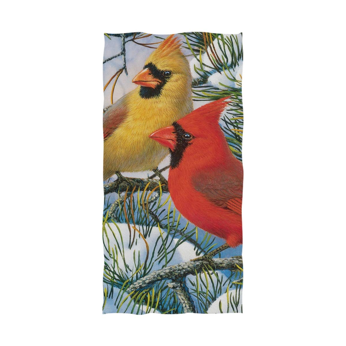 Northern Cardinal - HD Wallpaper 