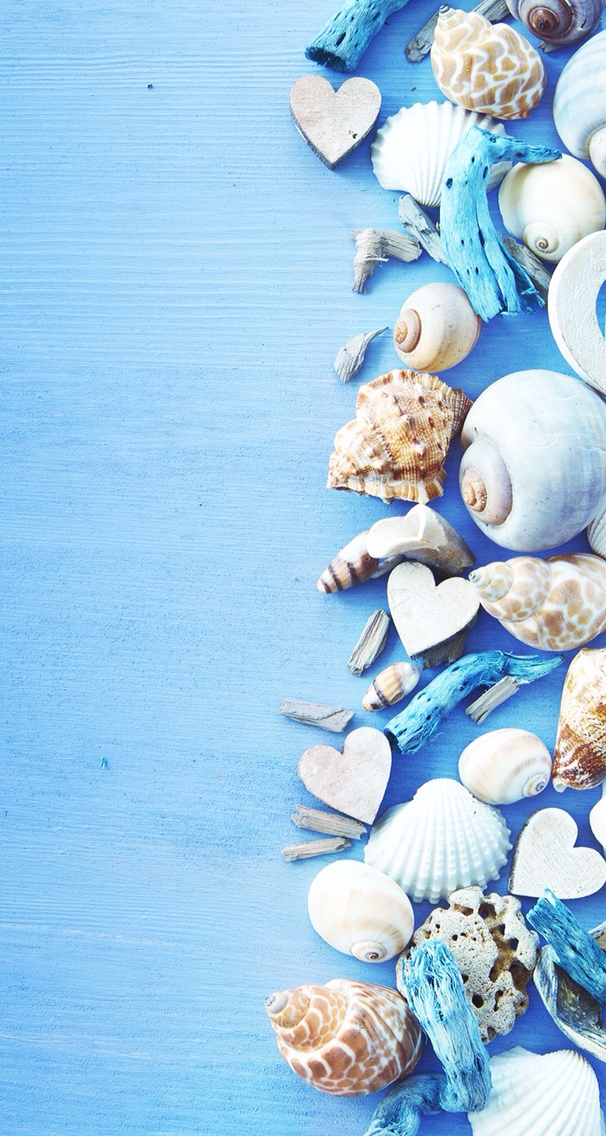 Seashell Wallpaper Blue Wood Seashells Sea Star Iphone - Fond D Écran Coquillage - HD Wallpaper 
