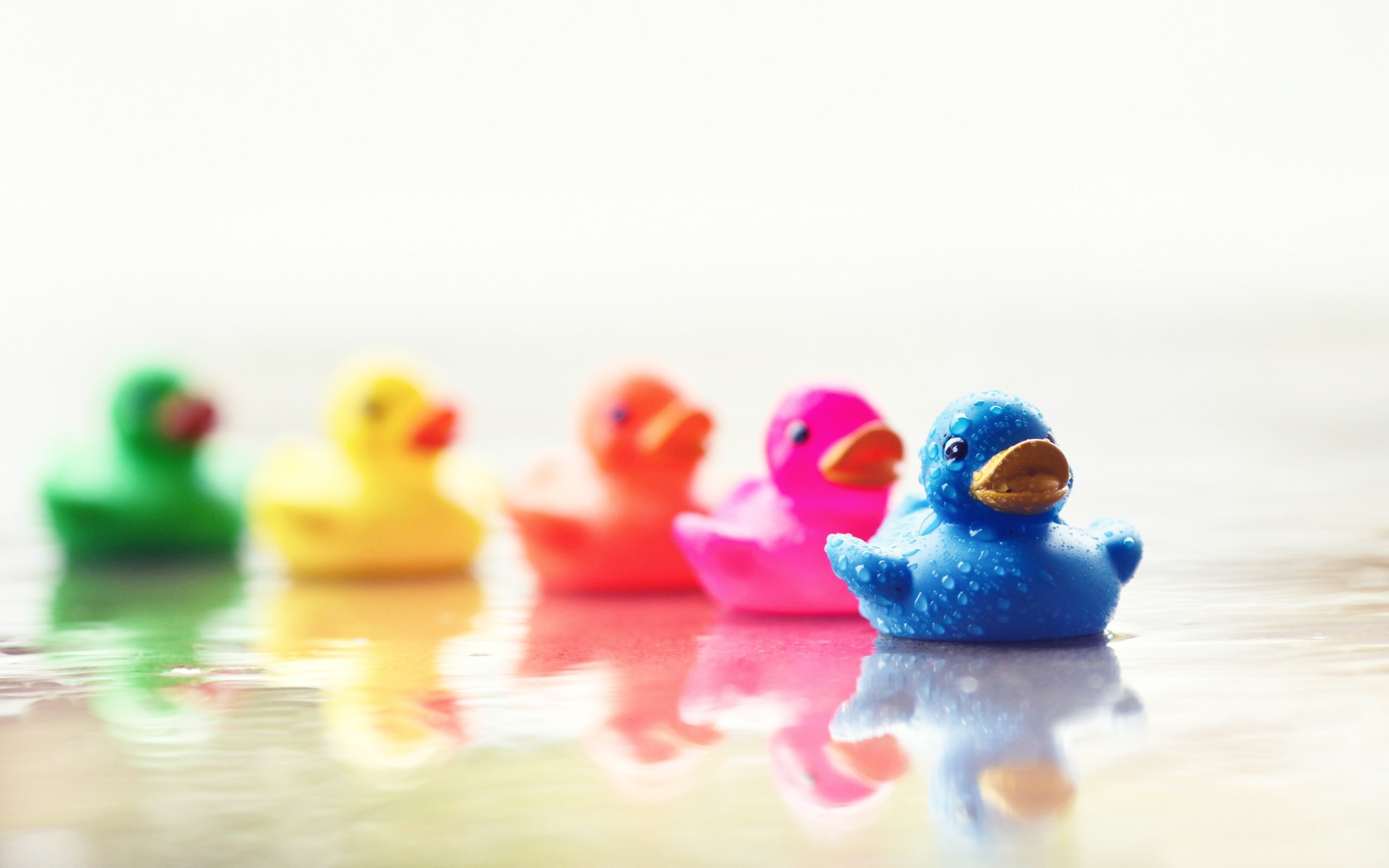 Rubber Duck Desktop Backgrounds - HD Wallpaper 