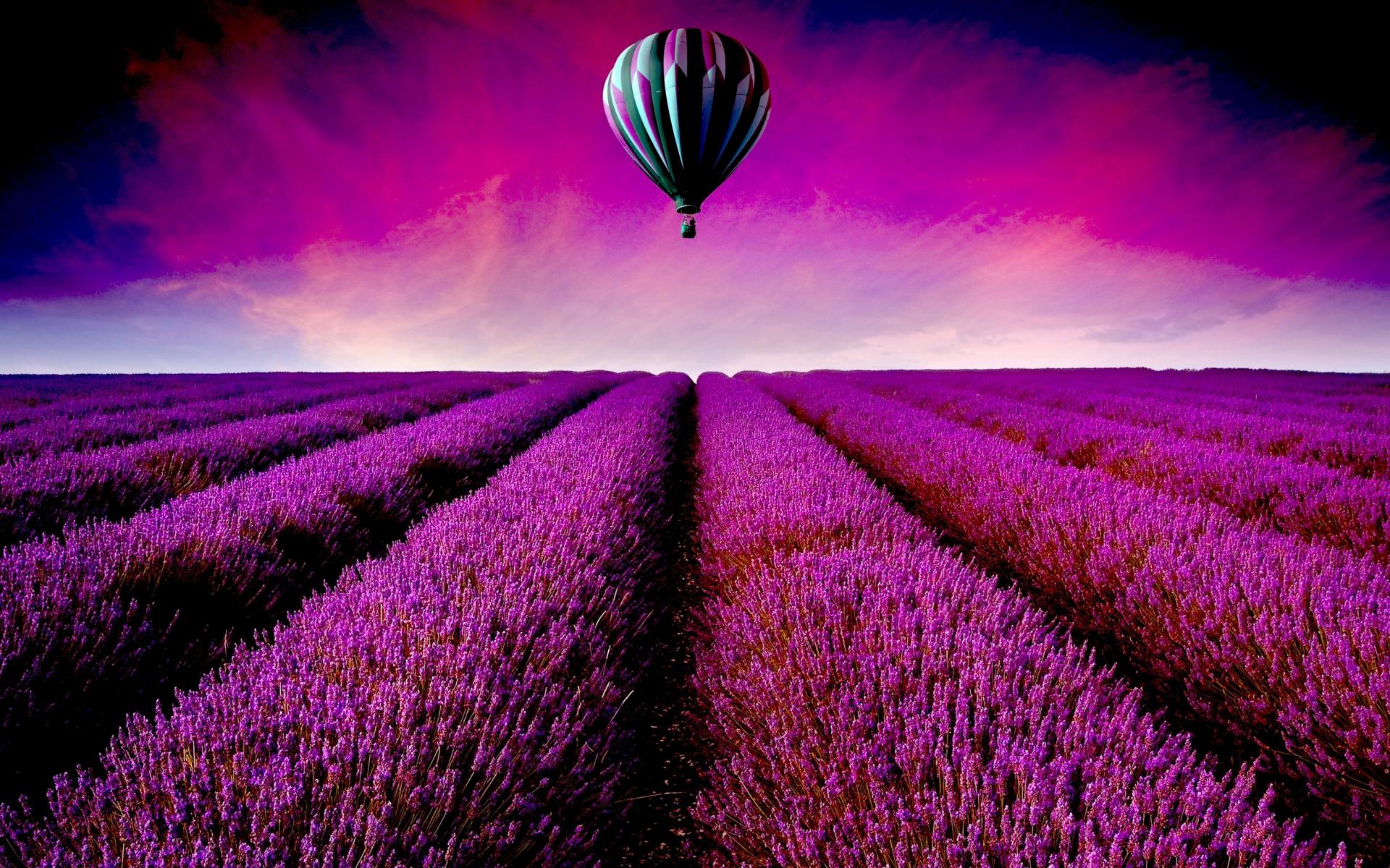 Stunning Lavender Field Digital Painting - HD Wallpaper 