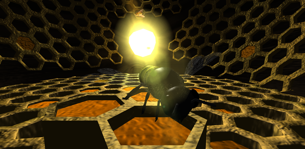 Wallpaper - HD Wallpaper 