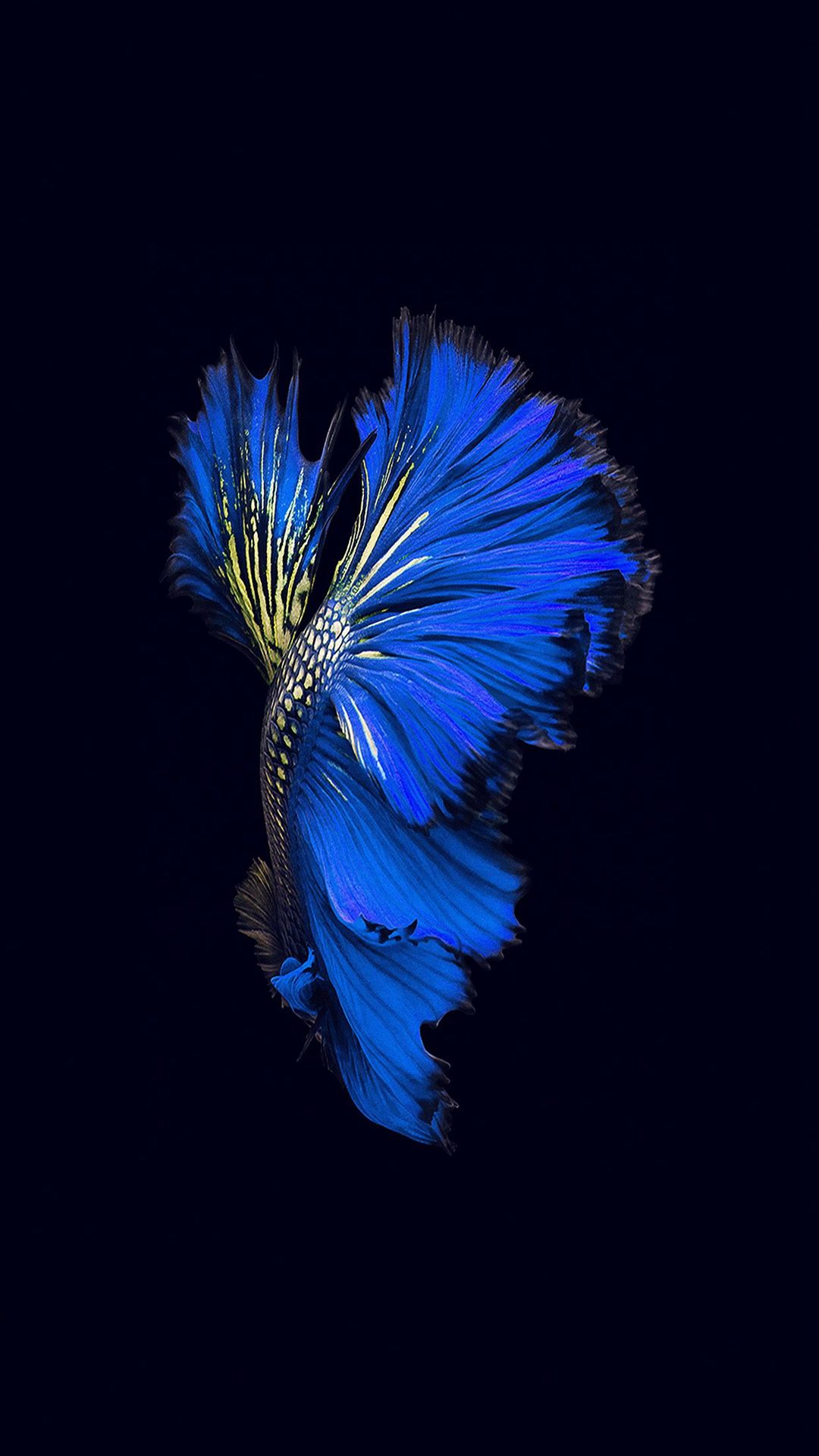 Cool Iphone 7 Backgrounds - Live Backgrounds Iphone 8 - 564x1002 Wallpaper Cool Iphone 7 Backgrounds - Live Backgrounds Iphone 8 - 564x1002 Wallpaper