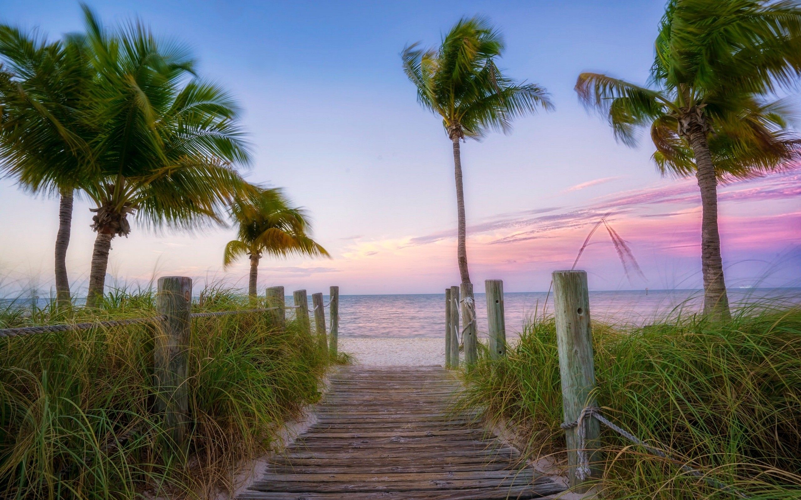 Palms Usa Florida West Beach Key Wallpaper Collection - Best Key West - HD Wallpaper 
