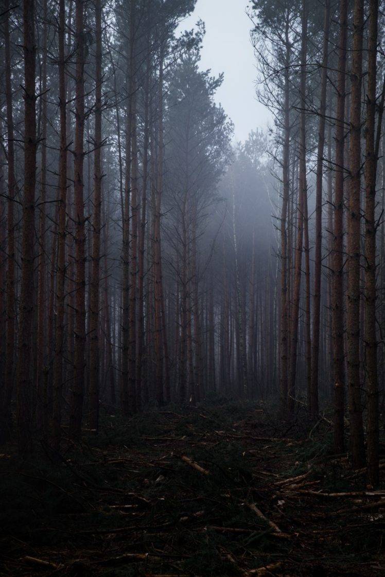 Nature Wallpaper Portrait - 748x1122 Wallpaper Nature Wallpaper Portrait - 748x1122 Wallpaper