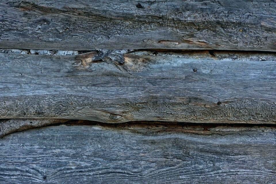 Wood - HD Wallpaper 