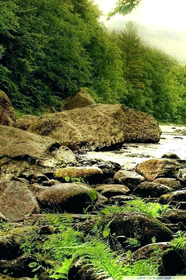 Natural Scene Wallpaper Scenery Wall Paper Scene Wallpaper - Cow Vision Vs Human Vision - HD Wallpaper 