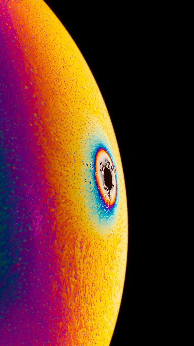 Close-up - HD Wallpaper 