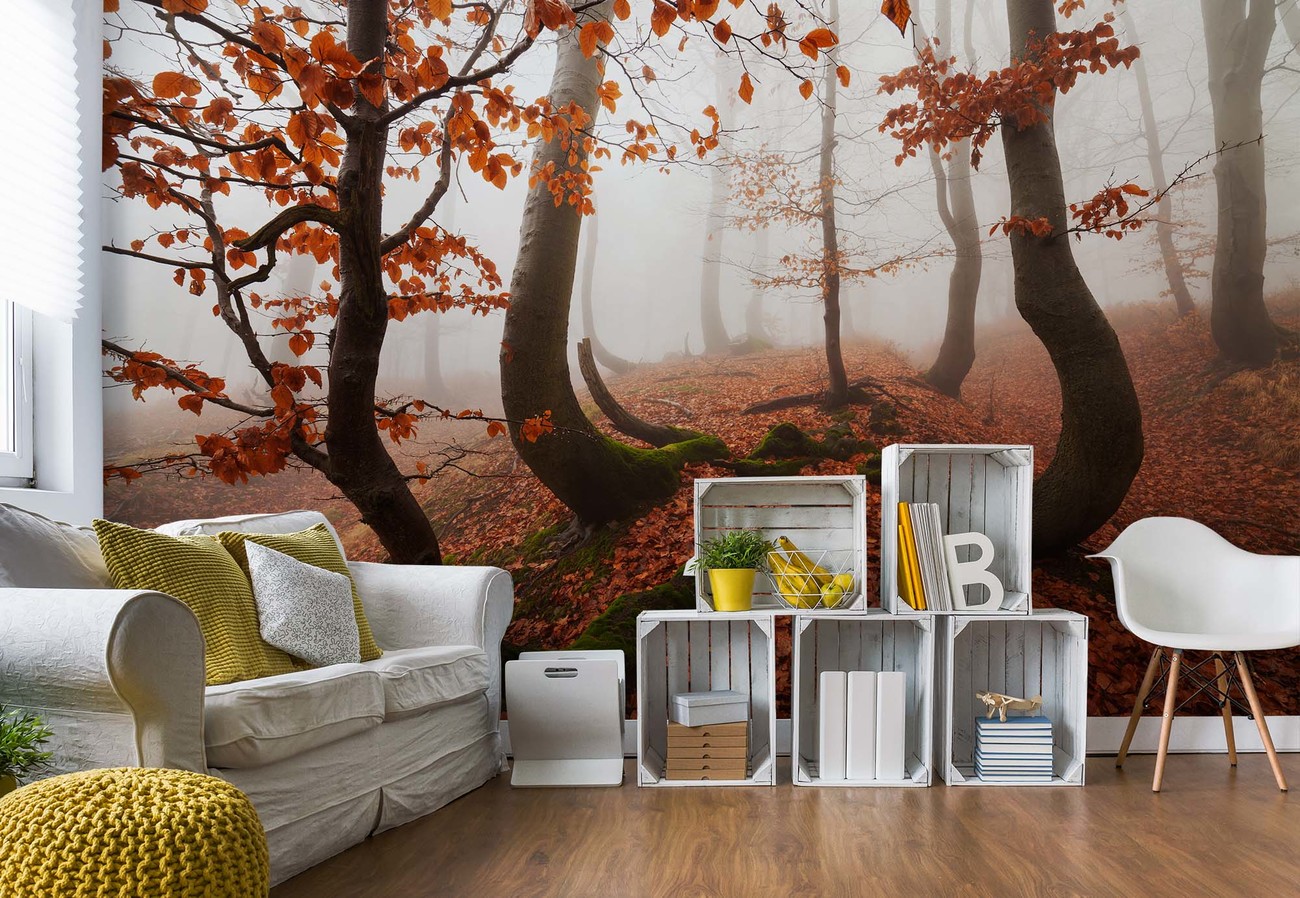 Fairytale Forest Wallpaper Mural - Papier Peint Femme Nue - HD Wallpaper 