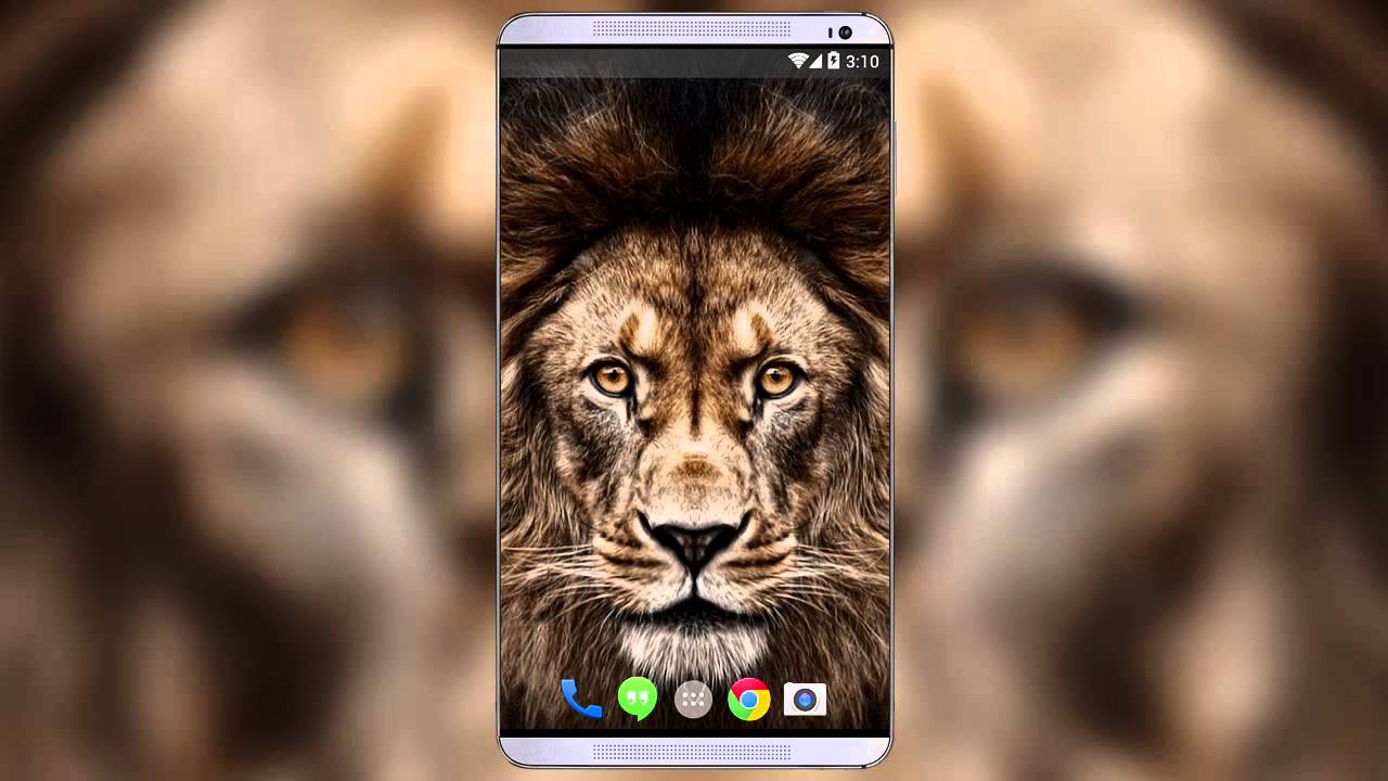Lion 3d Wallpaper Iphone Image Num 75