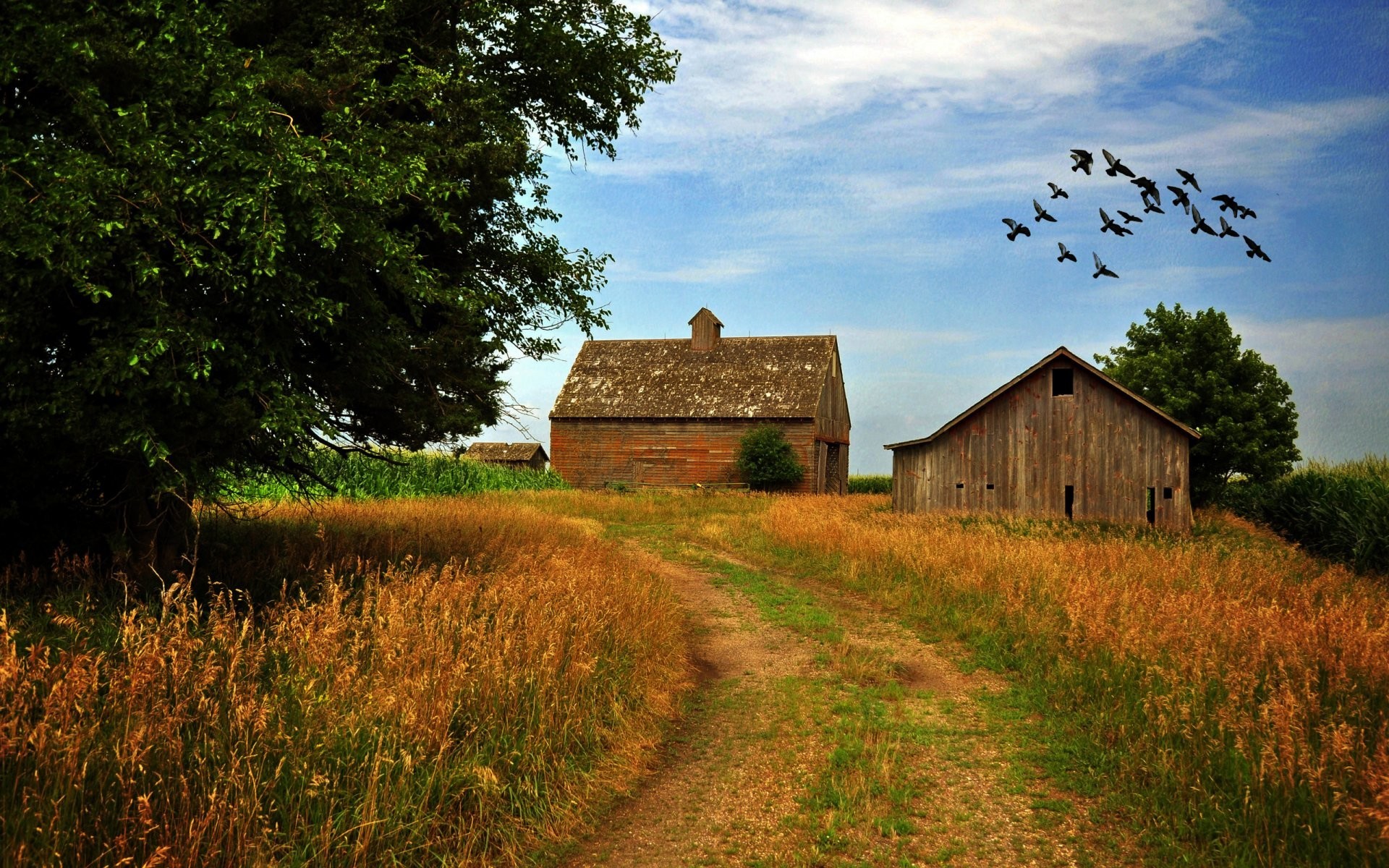 1920x1200, [quads Id 2] 
 Data Id 174210 
 Data Src - Old Farm Scenes - HD Wallpaper 