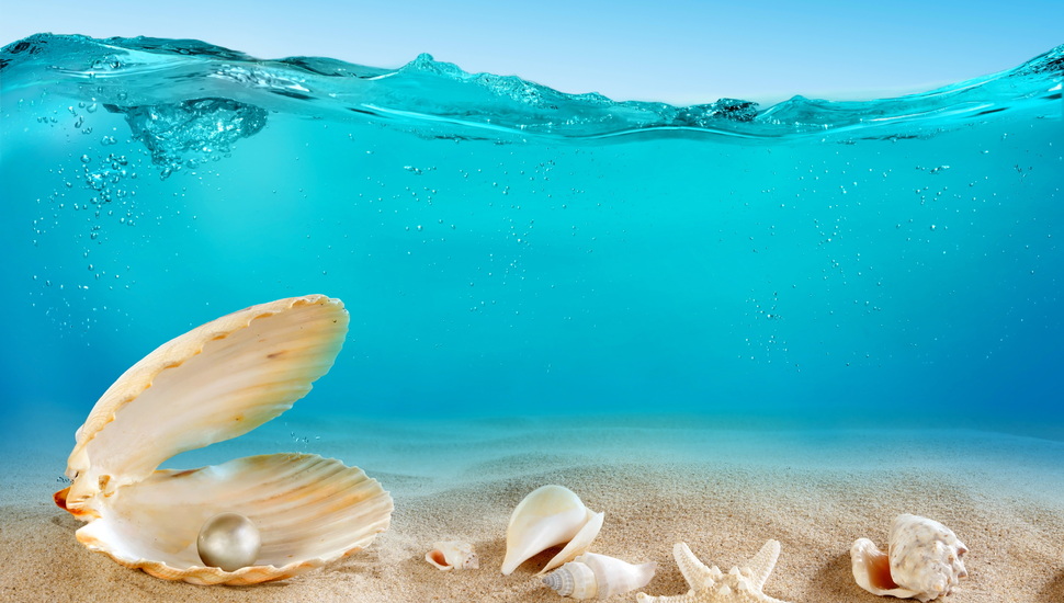 Ocean, The Bottom, Ocean, Sand, Sea, Sand, Seashells, - Seashells Under The Sea - HD Wallpaper 