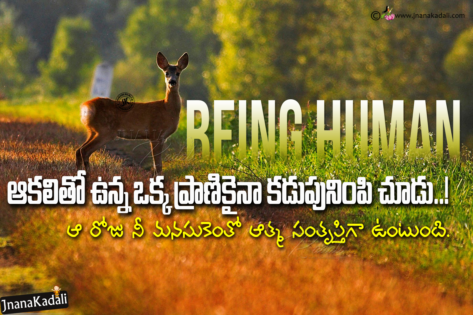 Humanity Quotes In Telugu, Being Human Quotes In Telugu, - Sangai - HD Wallpaper 