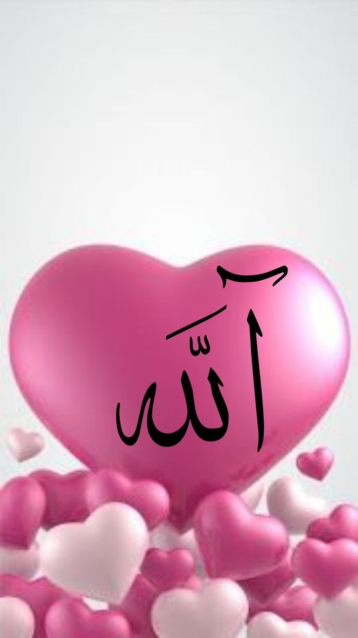 Z Letter Images In Heart - 736x1309 Wallpaper Z Letter Images In Heart - 736x1309 Wallpaper