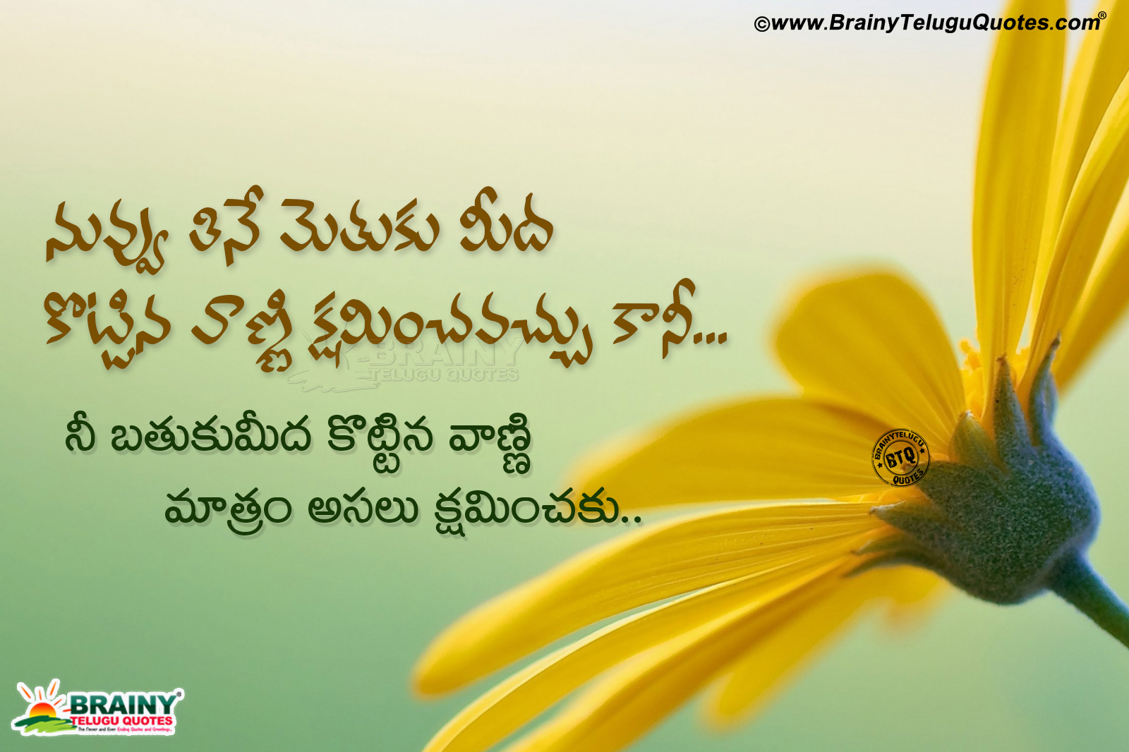 Telugu Life Quotes, Best Life Quotes In Telugu, Most - Best Latest Life Quotes Telugu - HD Wallpaper 