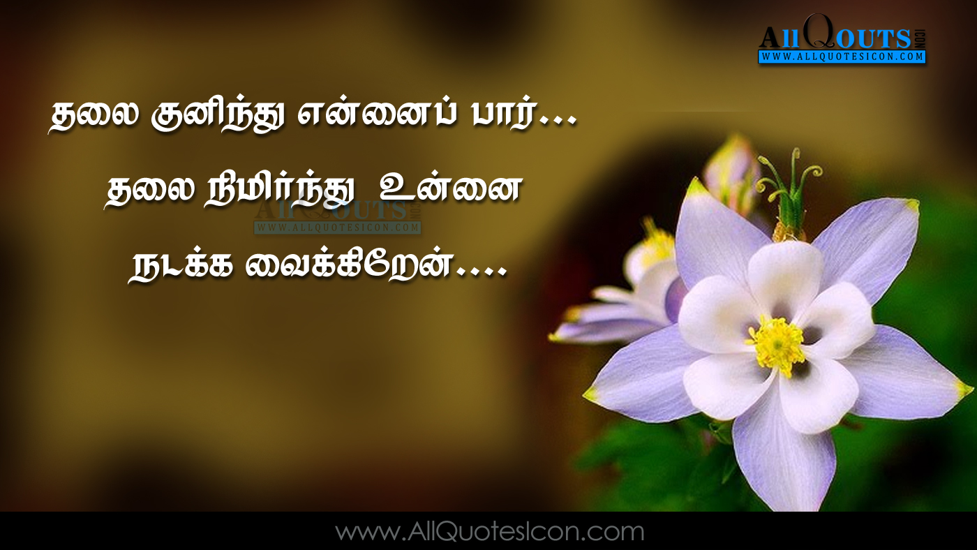 Quran Quotes In Tamil Pictures Best Islamic Sayings - Quran Quotes In Tamil - HD Wallpaper 