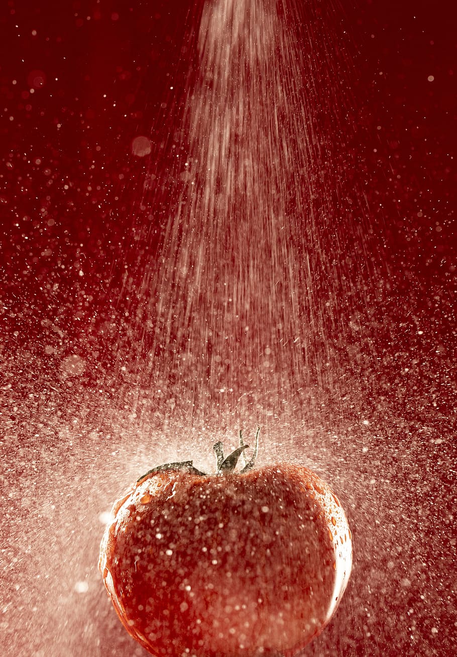 Round Red Tomatoes, Plant, Fruit, Food, Apple, Dessert, - Seedless Fruit - HD Wallpaper 