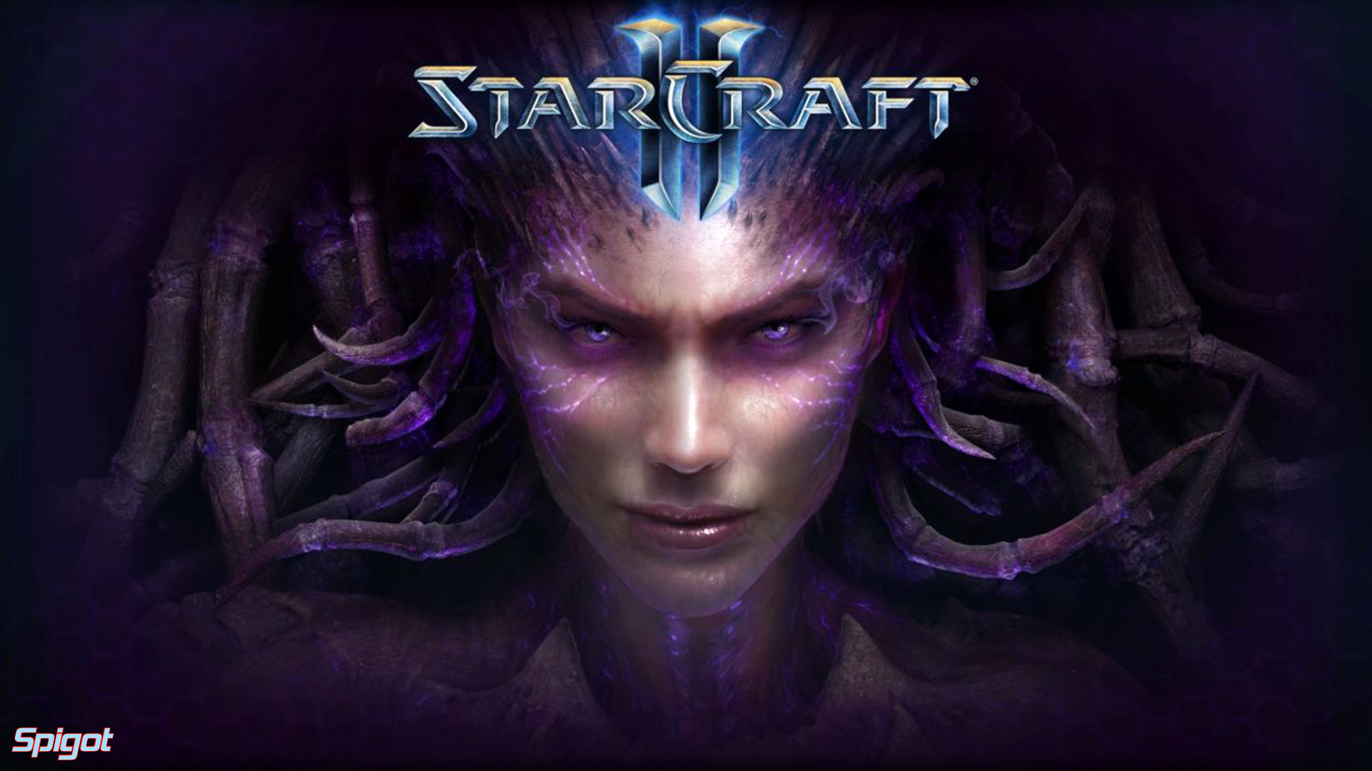 Starcraft Ii - - Starcraft 2 Heart Of The Swarm - HD Wallpaper 