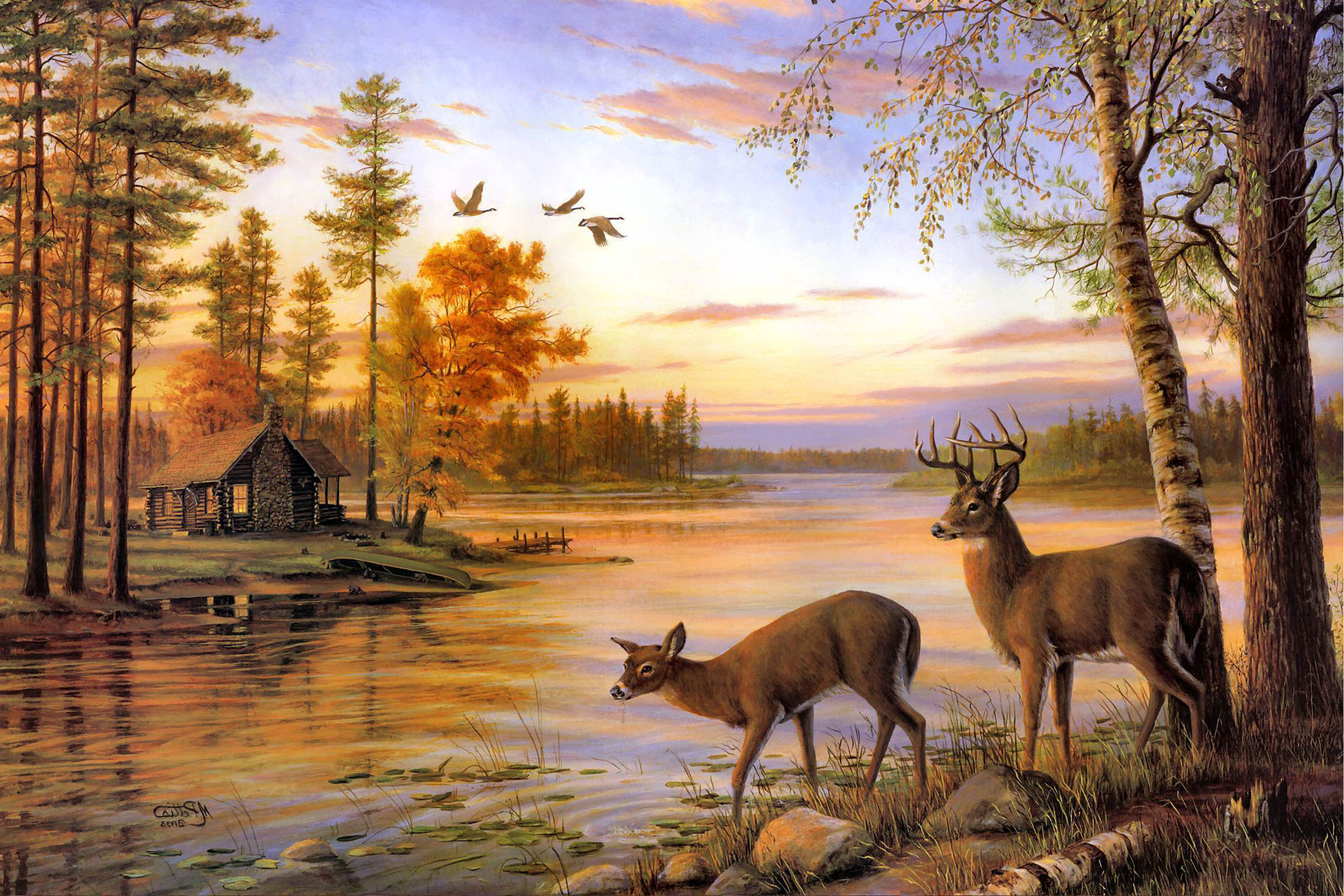 Background Deer Drinking Water - HD Wallpaper 