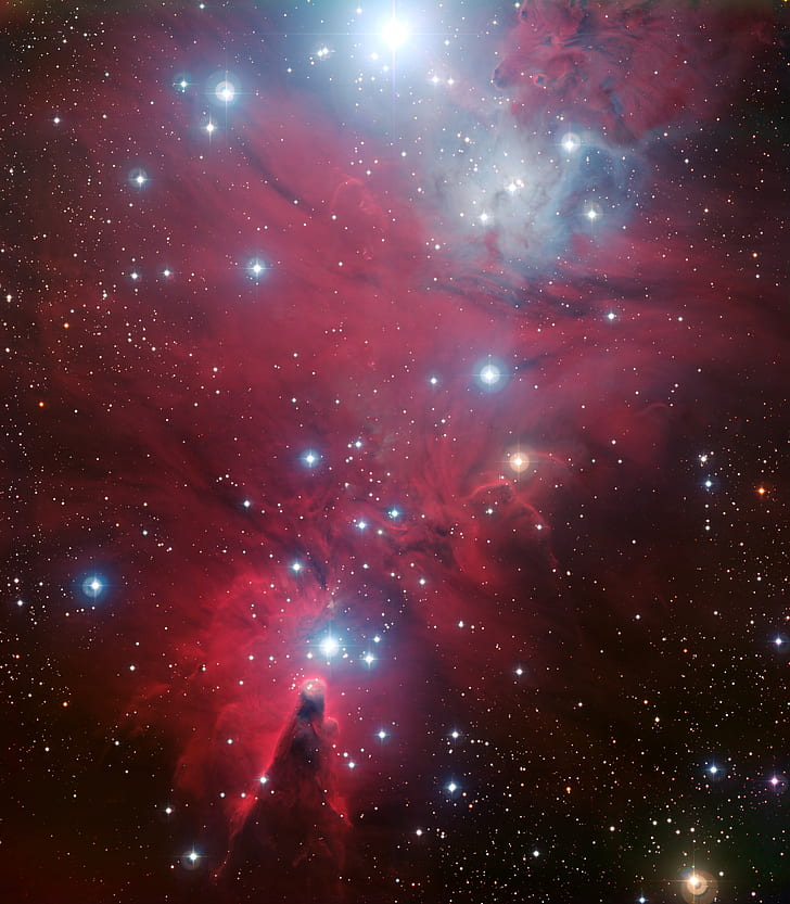 Christmas Tree Cluster, Ngc 2264, Nasa, Space, Galaxy, - Christmas Tree Nebula - HD Wallpaper 