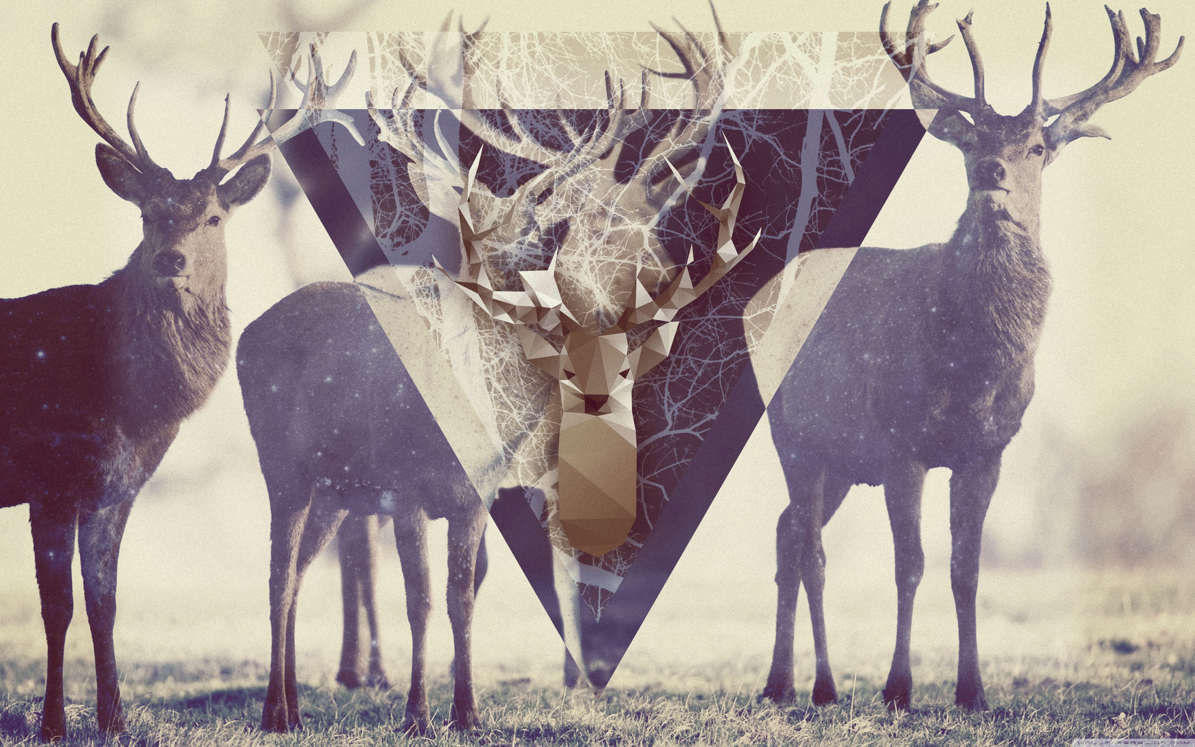 Deer Desktop Wallpaper Art - HD Wallpaper 