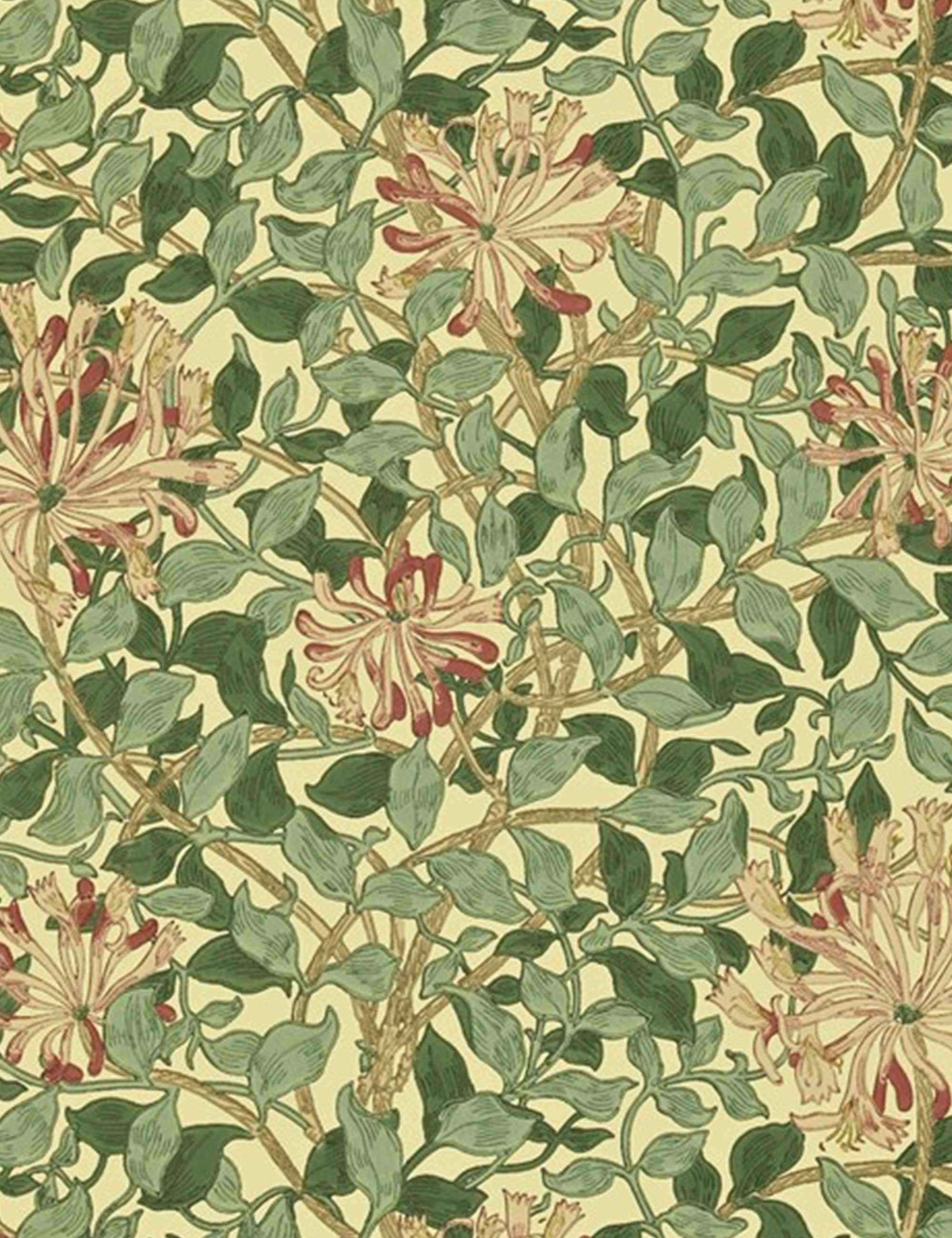 Honeysuckle William Morris - HD Wallpaper 