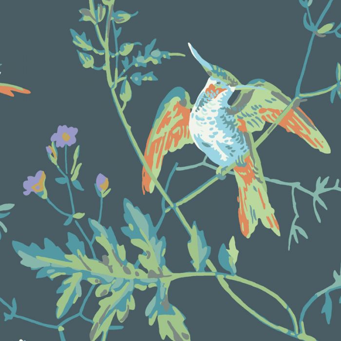 Hummingbird Cole And Son - HD Wallpaper 