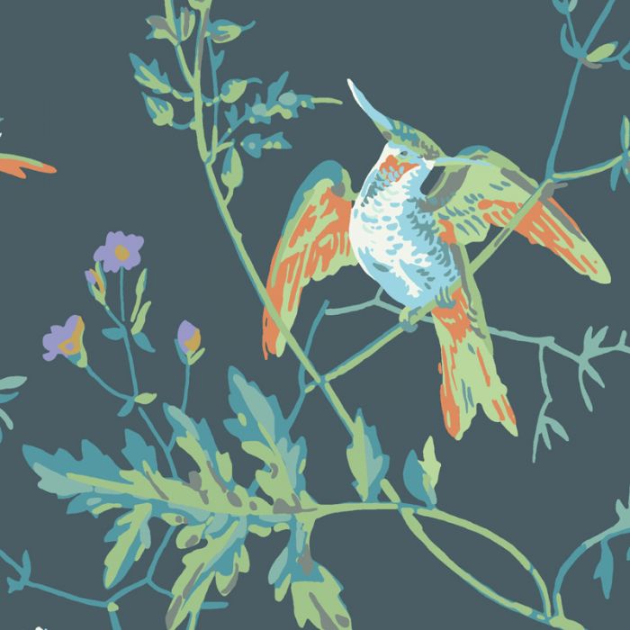 Hummingbird Cole And Son 700x700 Wallpaper teahub.io