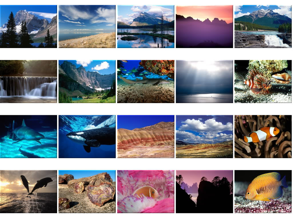 Underwater - HD Wallpaper 