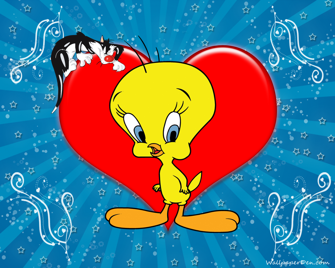 Tweety Bird - HD Wallpaper 