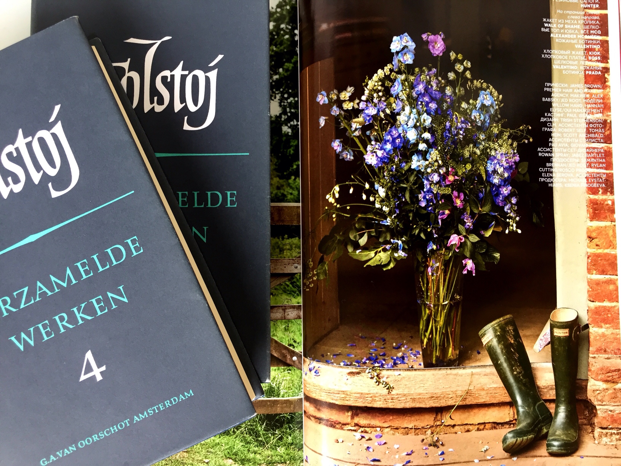 Delphinium - HD Wallpaper 