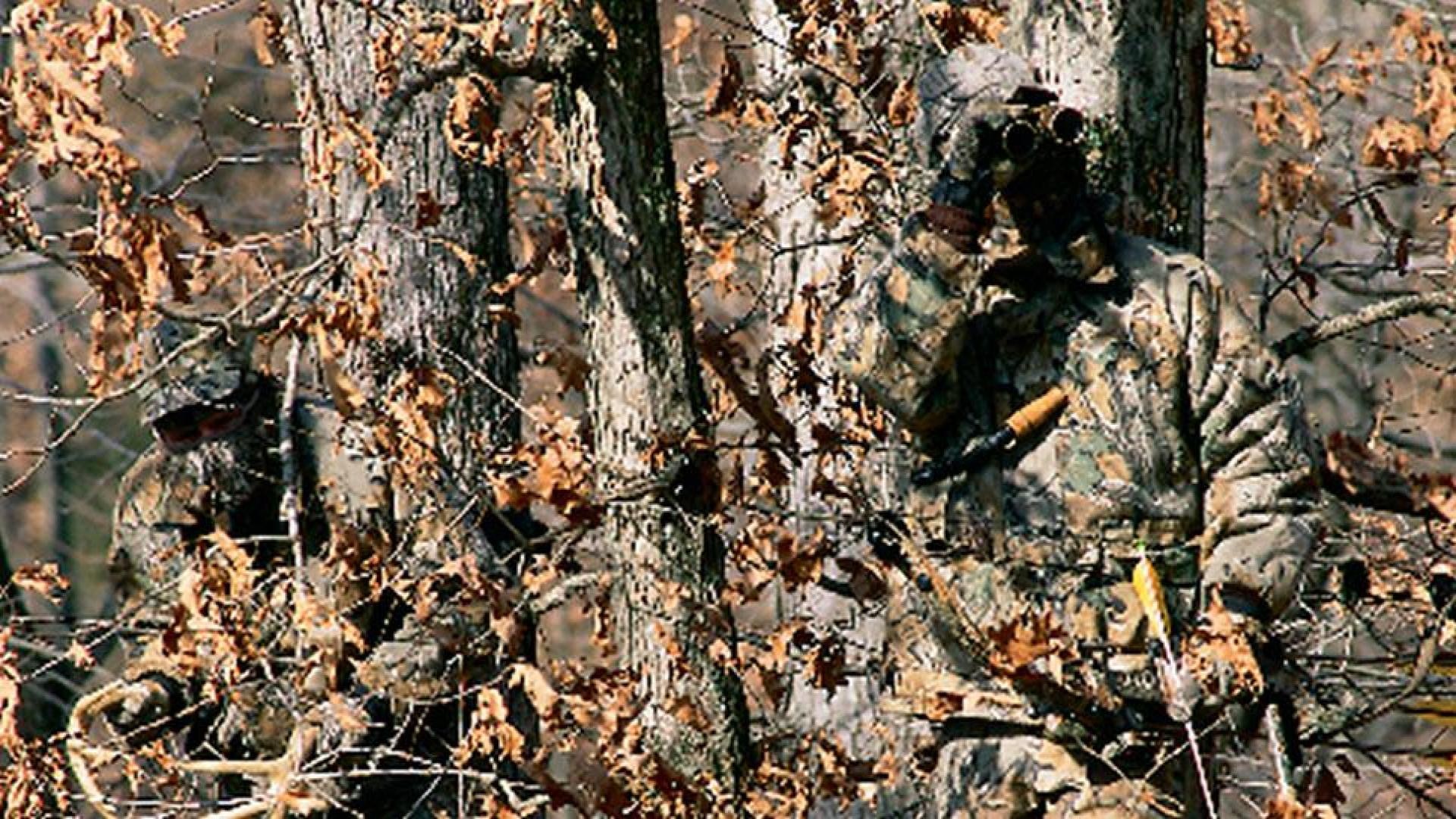 High Resolution Realtree Camo - HD Wallpaper 