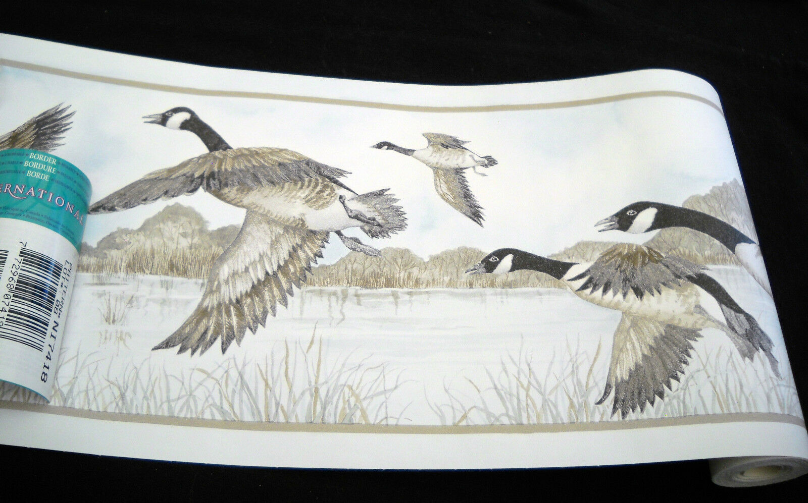 Snow Goose - HD Wallpaper 