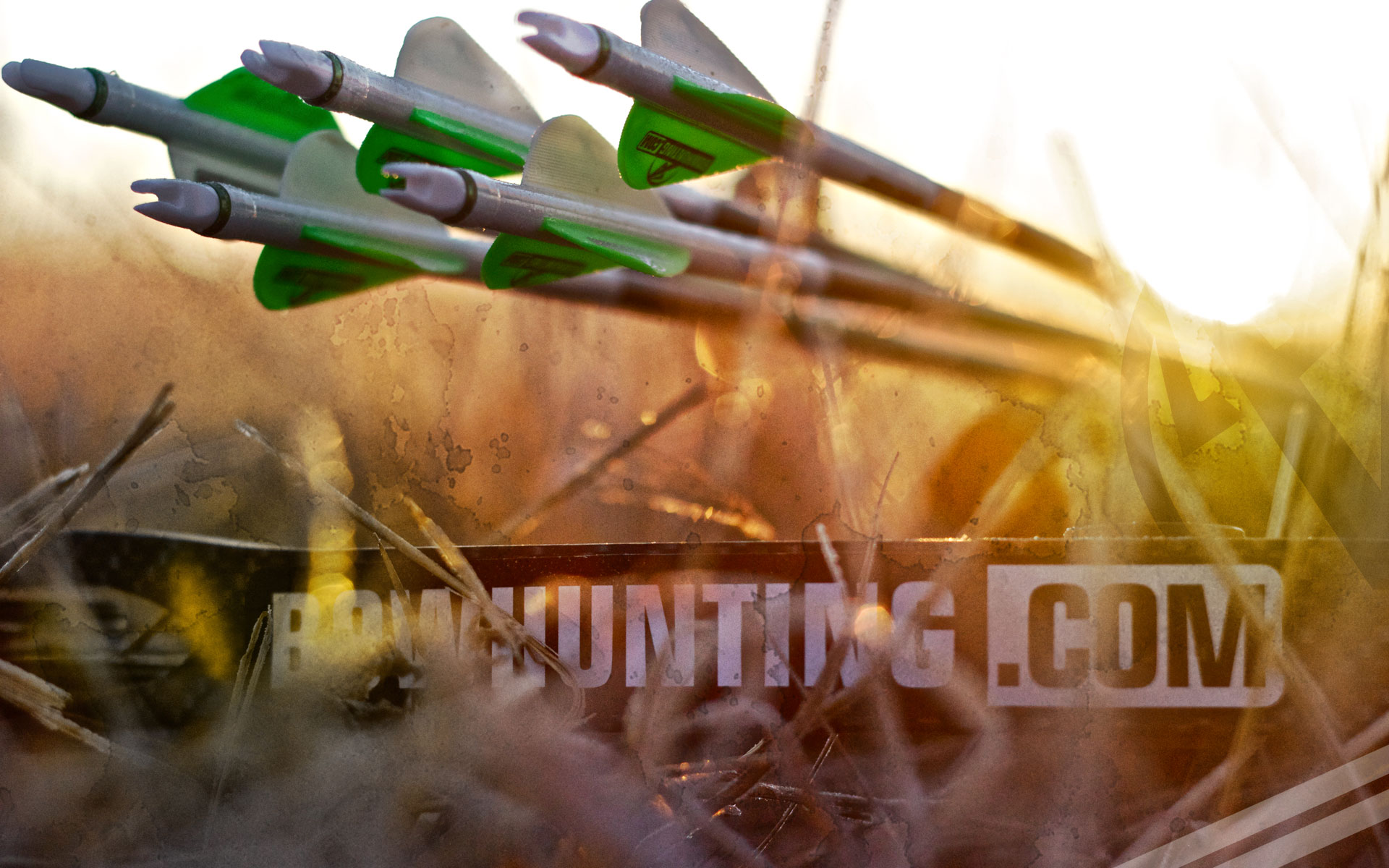 Wallpapers Archive - Awesome Bow Hunting Backgrounds - HD Wallpaper 