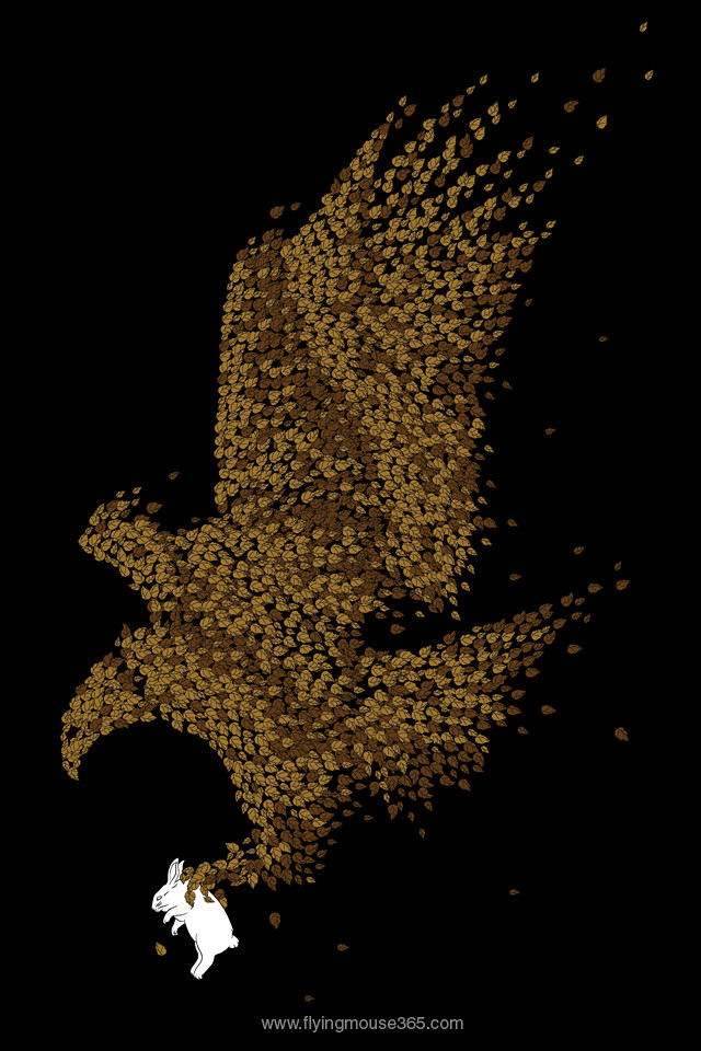 Bird Of Prey - HD Wallpaper 