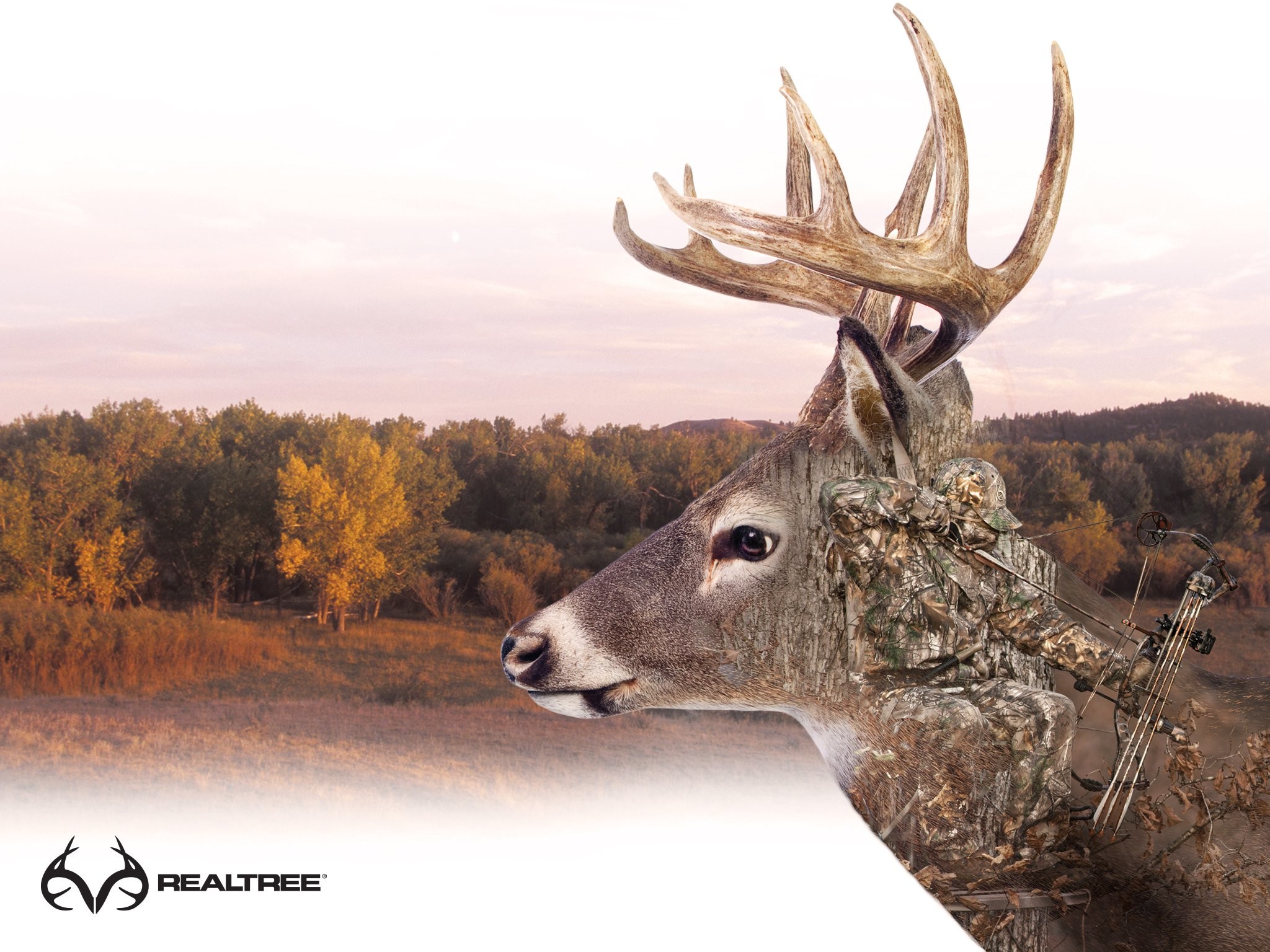 Deer Hunting Wallpaper Realtree - HD Wallpaper 