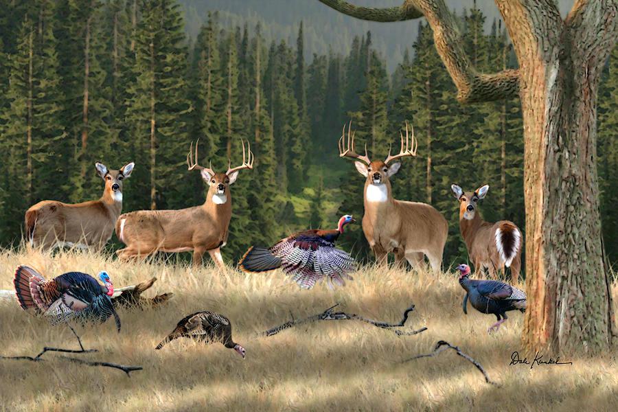 Hunting Wildlife Wallpaper-b18wqw1 - Cool Hunting - HD Wallpaper 