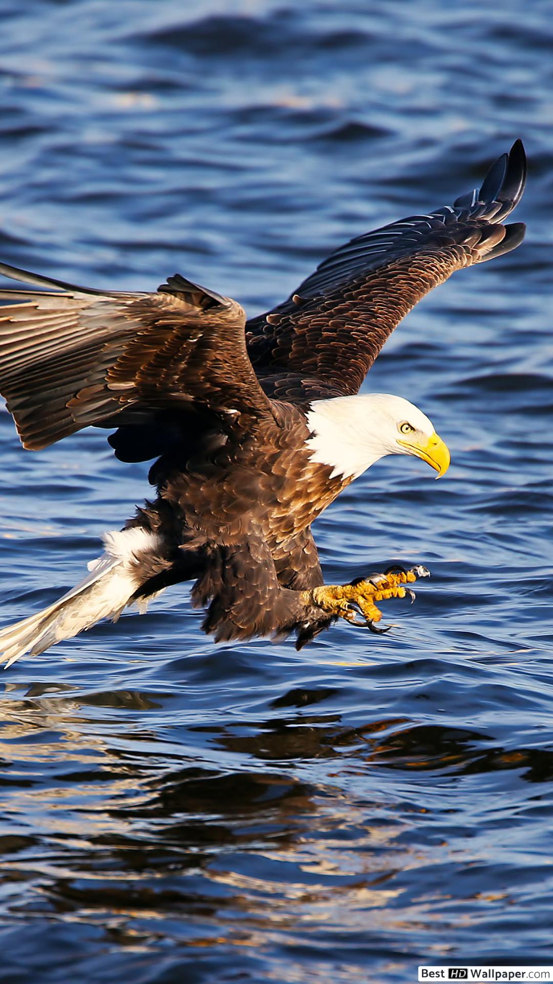 Iphone 5 S Duvar Kağıtları Karta - HD Wallpaper 