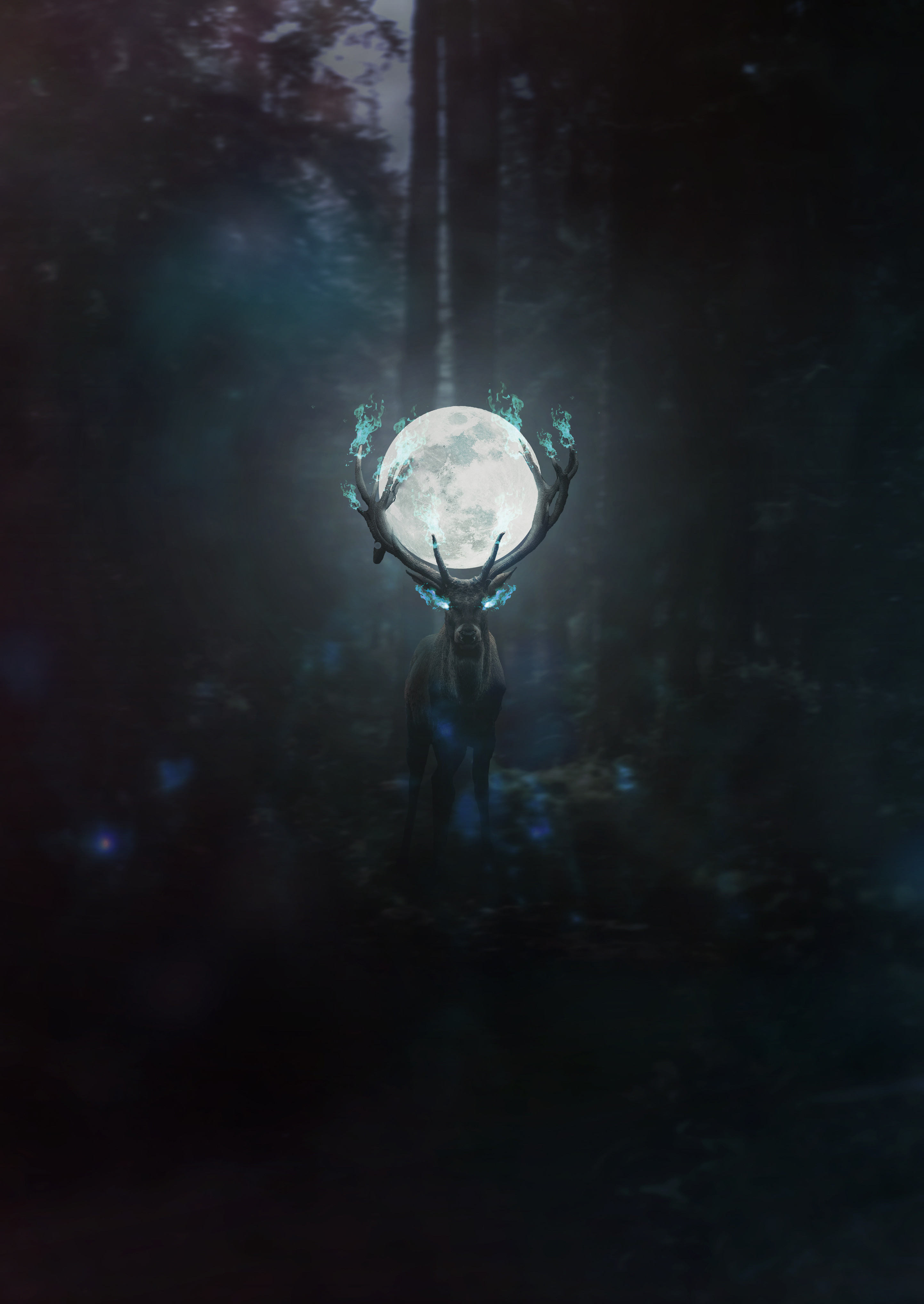 Light - HD Wallpaper 