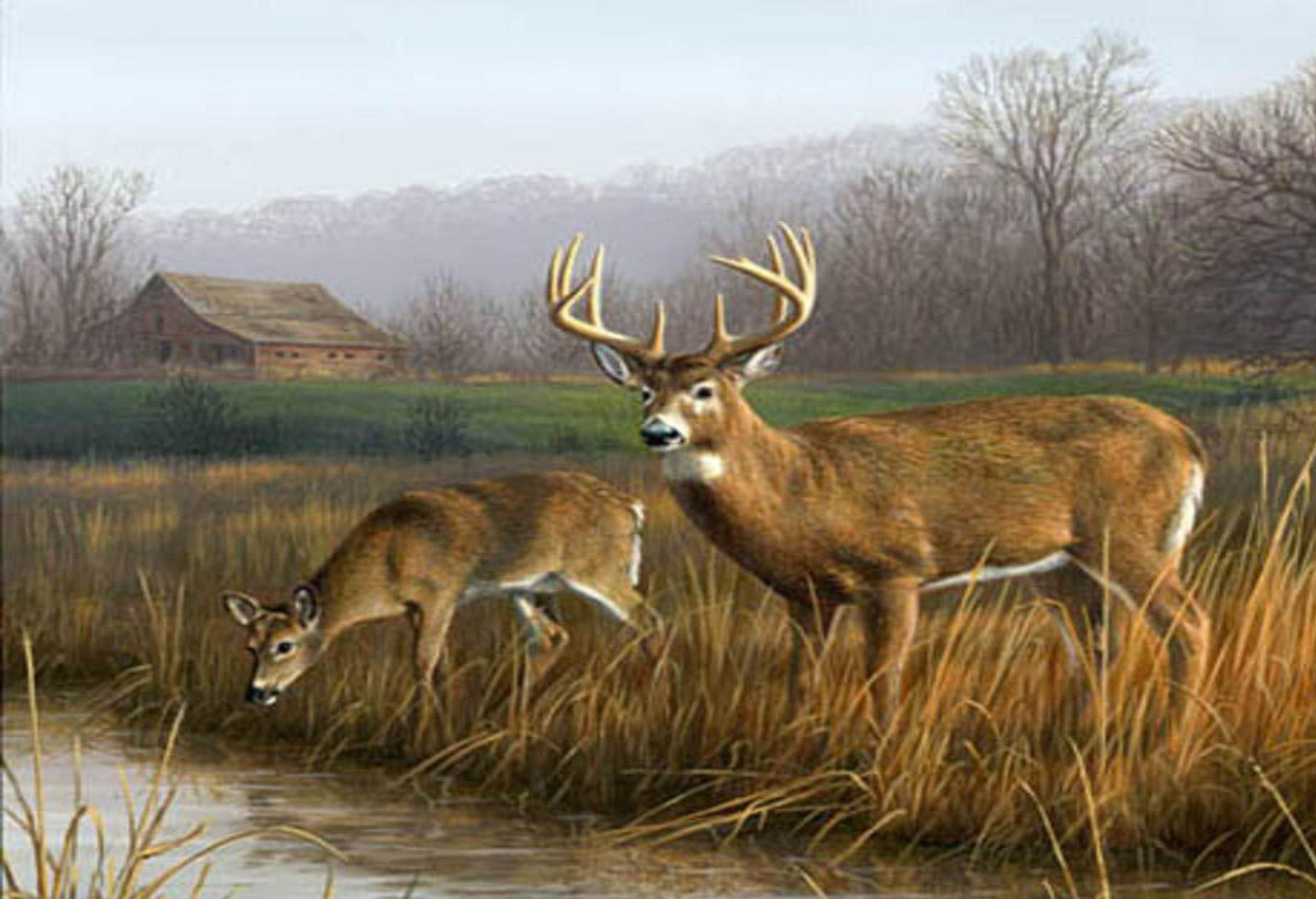 Deer Hunting Wallpapers Hd - Hunting Scene Deer Painting - HD Wallpaper 