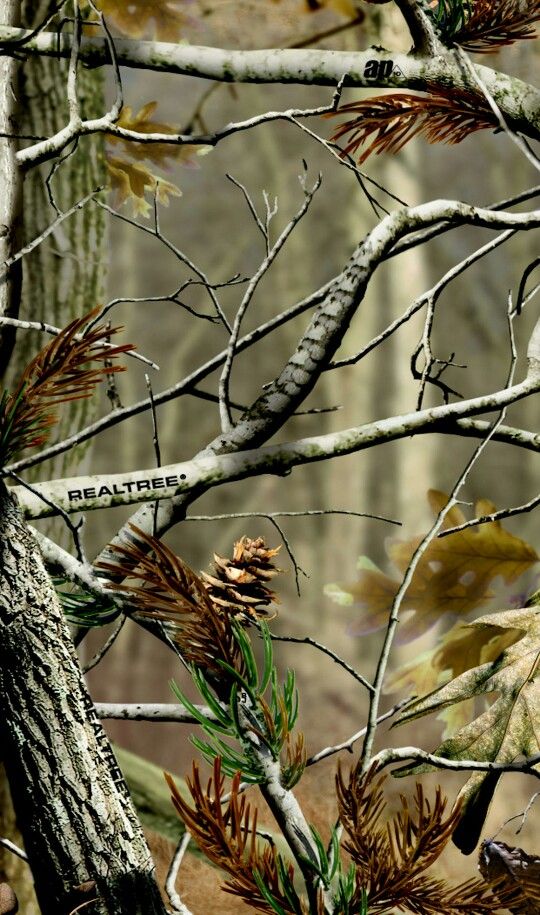 Realtree Camo - HD Wallpaper 