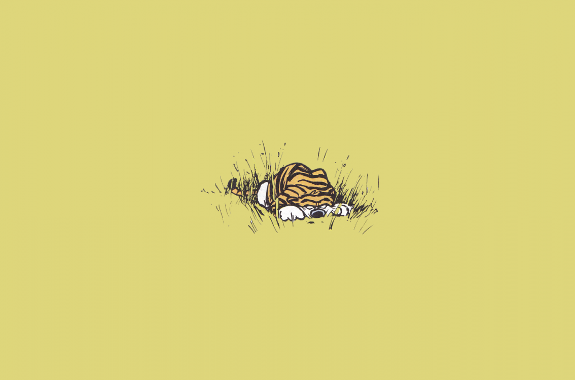 Calvin And Hobbes - HD Wallpaper 