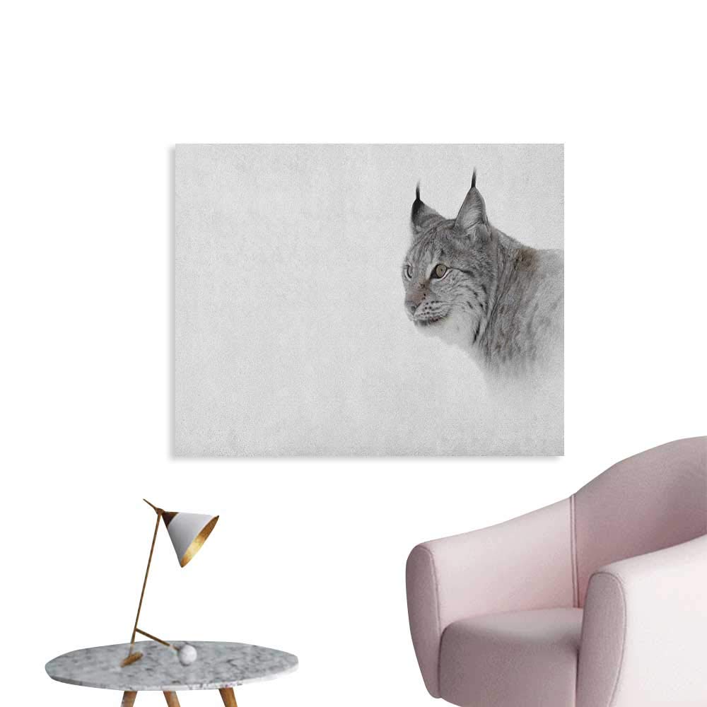 Poster - HD Wallpaper 