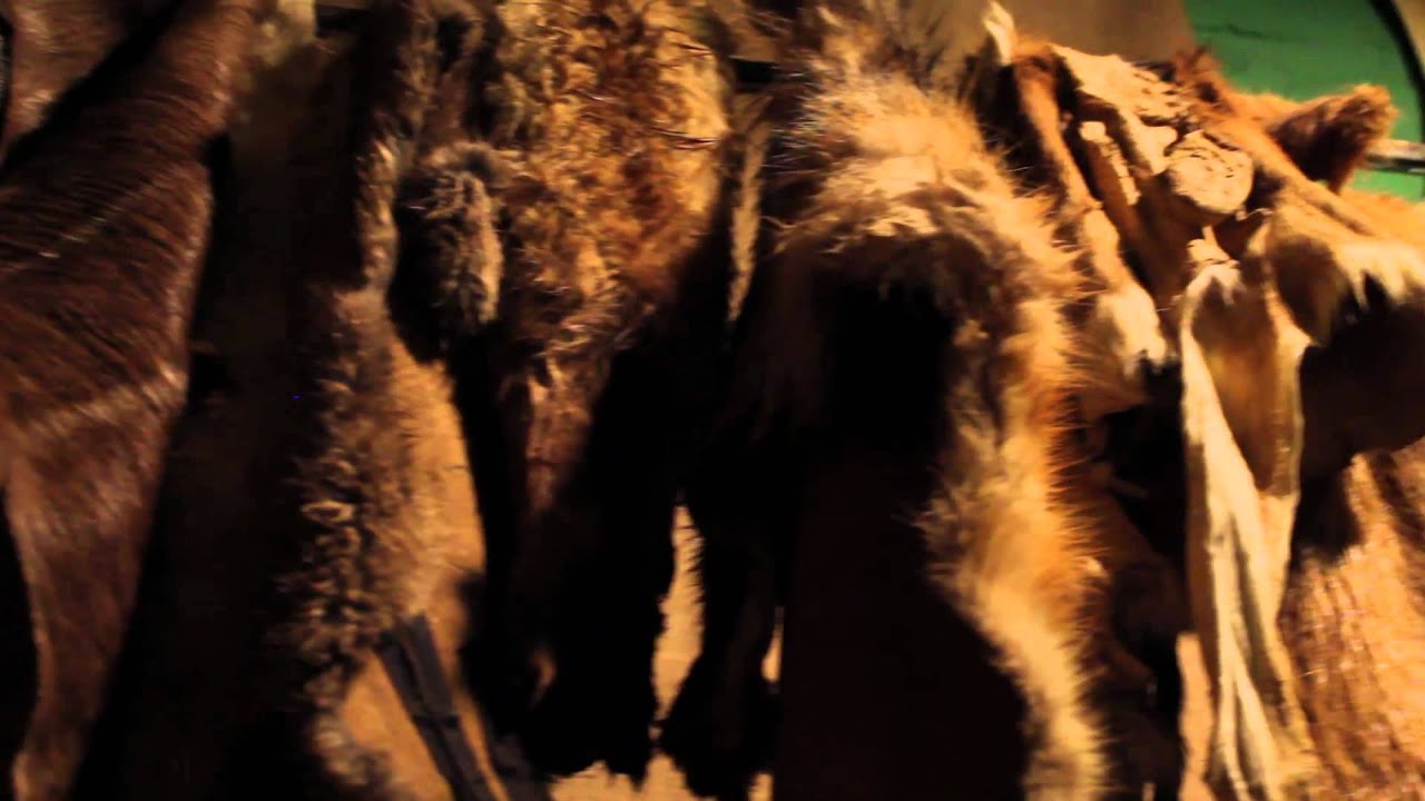 Fur Clothing - HD Wallpaper 