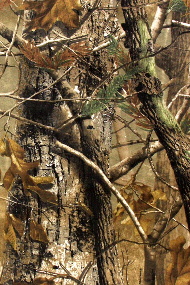 picture High Resolution Hunting Camouflage Background realtree camo 640x960 wallpaper