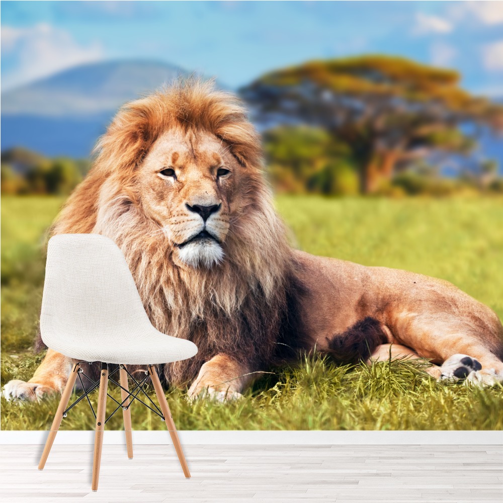 Does A Lion Live - HD Wallpaper 